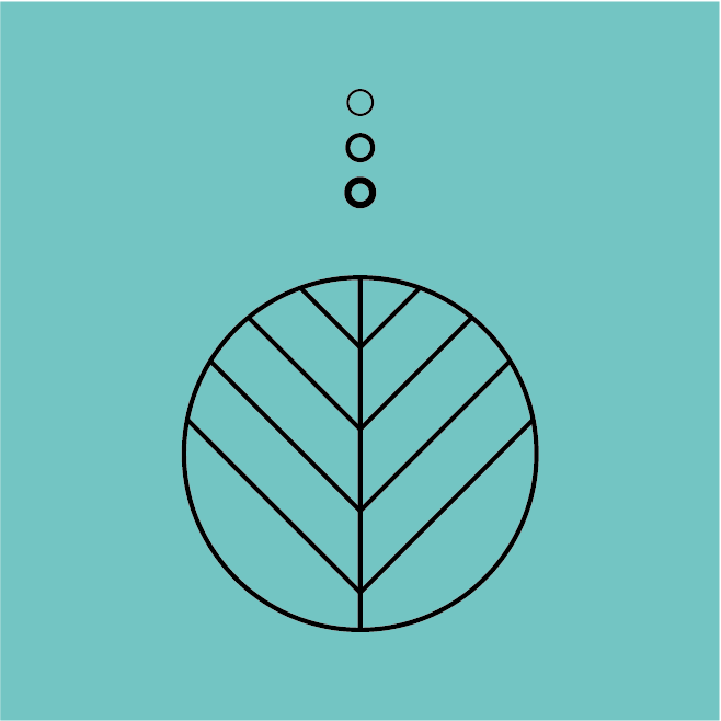 The Mind & Movement Practice